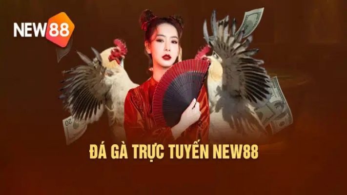 Đá gà trực tuyến máu lửa tại NEW88